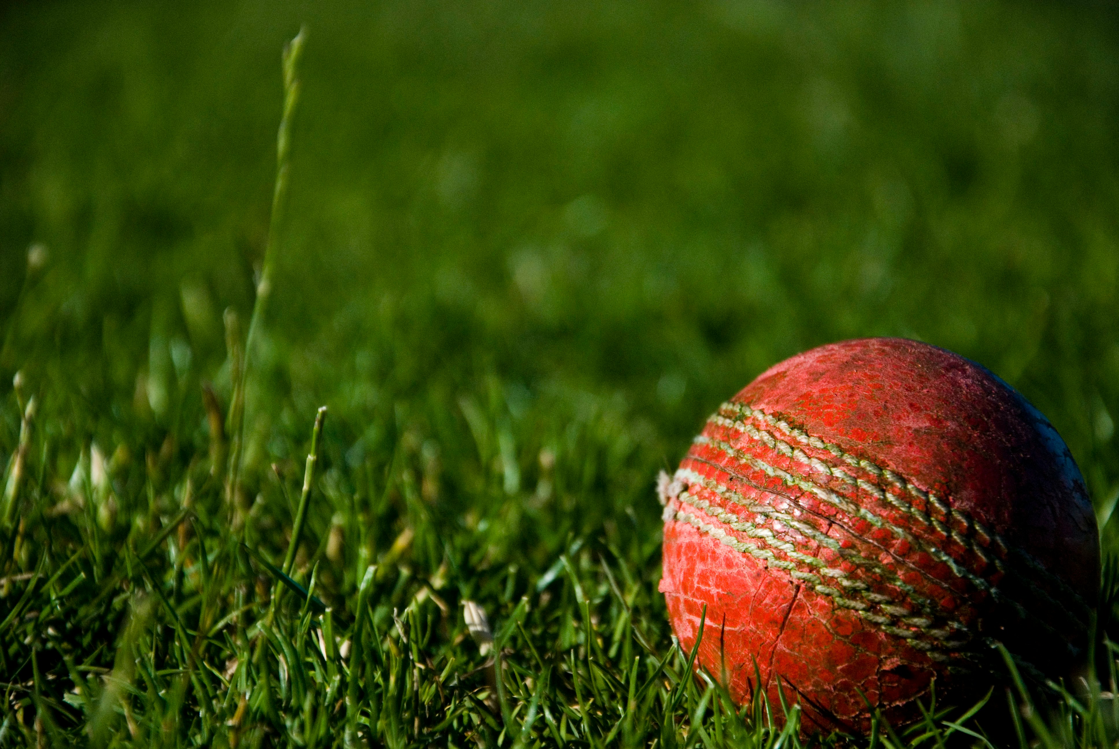 Artificial Turf