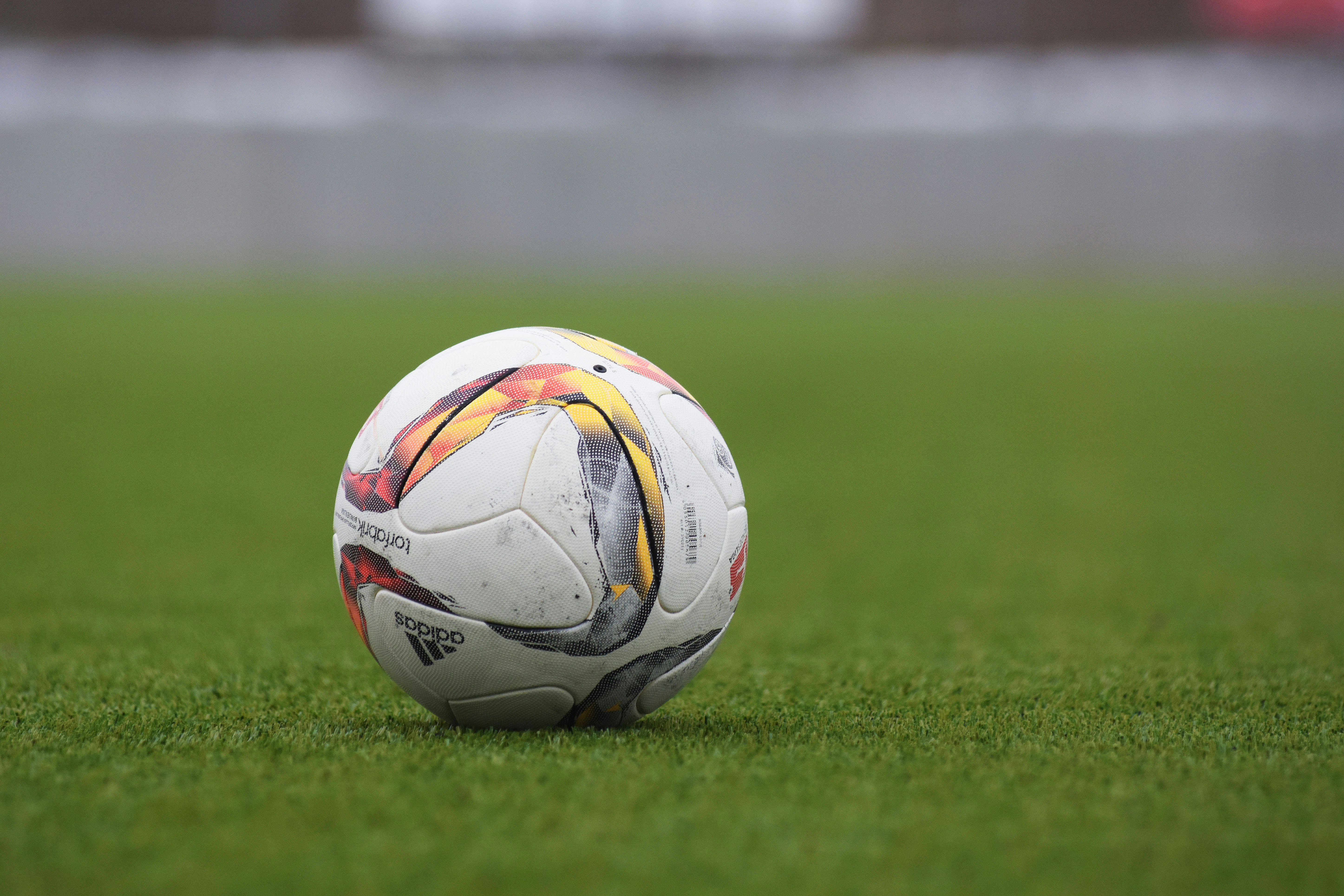 Artificial Turf