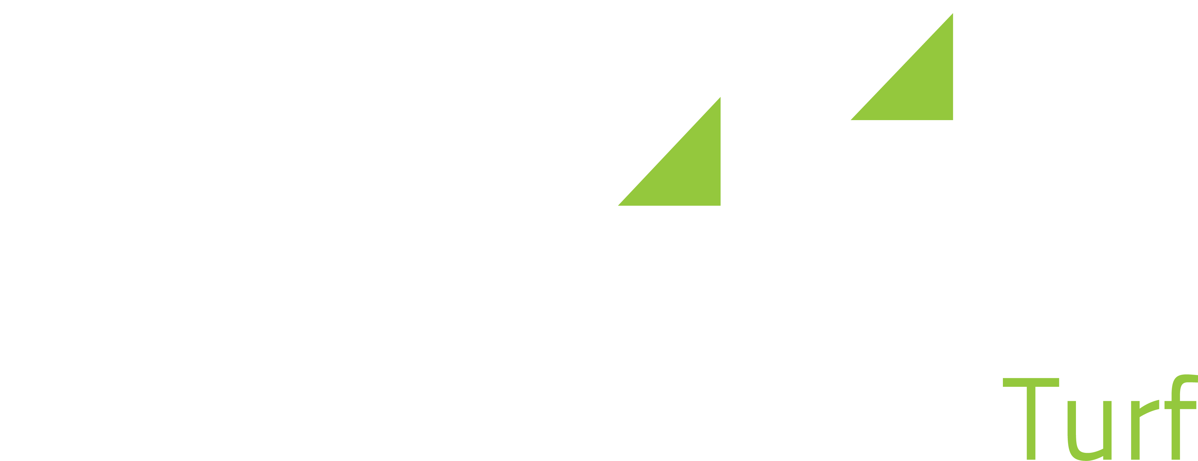 STI Logo